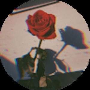 Meet your Posher, Arianna